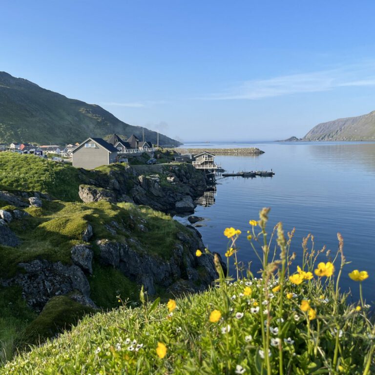 Cape Marina Skarsvåg