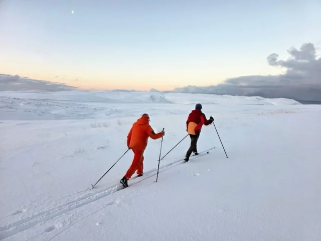 Chasing the quiet🧘🩷

📷@arcticseakayaker 

#ArcticLife #WinterVibes #Magerøya #NorthNorway #SkiLife