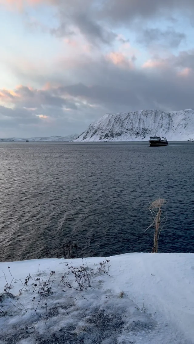 🌬️❄️

#Honningsvåg #Magerøya #NorthCape #ArcticLife #WinterSunset #NorthernNorway