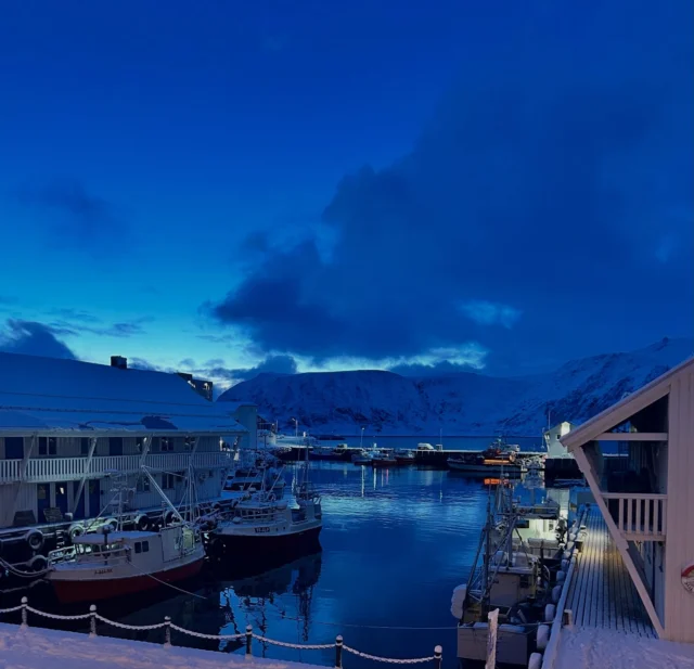 Sunday walk in the arctic 🩵

Honningsvåg #NorthCape #ArcticLife #BlueHour #WinterVibes #NorthernNorway